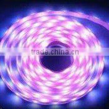 Best quality 3528 led strip light