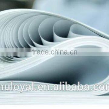 Hot Selling C1S Coated Art Paper for Beer Labels Shopping Bags photo-5