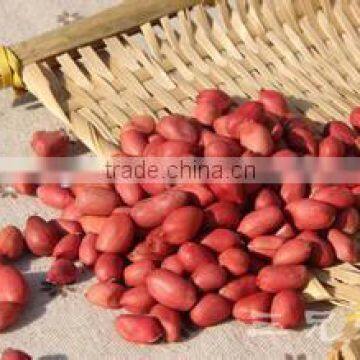 Red Skin Peanut Kernels With Good Quality for Sale photo-2