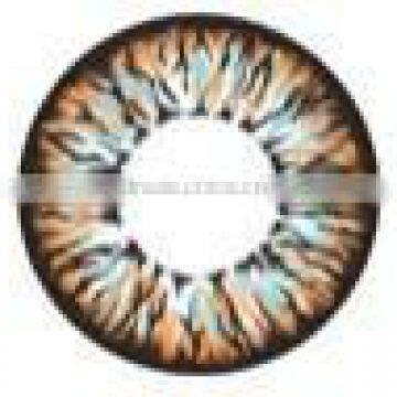 Wholesale Korea Eclipse rainbow brown color mix/blue contact lenses/price colored contact lenses