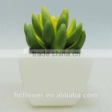 new design ceramic pot small plants for home decoration