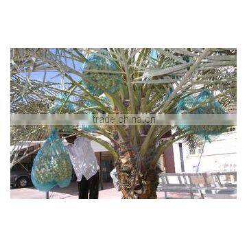 HDPE date net bag