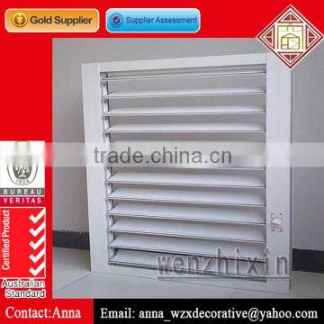Exterior Aluminum Blind Window