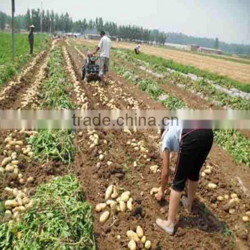 match hand tractor potato harvester