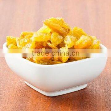 Best quality golden raisin exporters