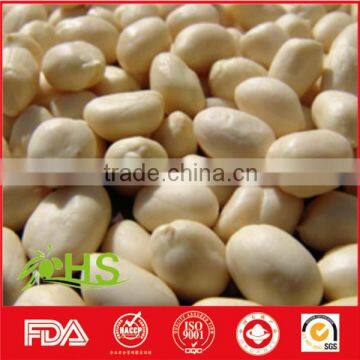 Blanched Peanut Kernels With Long/round Type photo-2