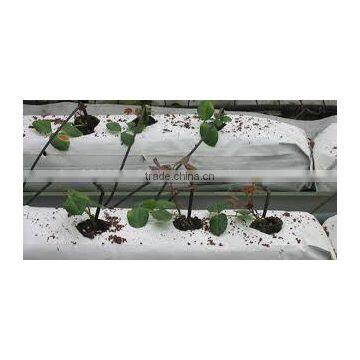 COCO GROW BAGS EXPORTERS