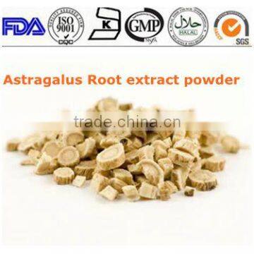 ISO 13 years factory Radix Astragali Astragalus root extract