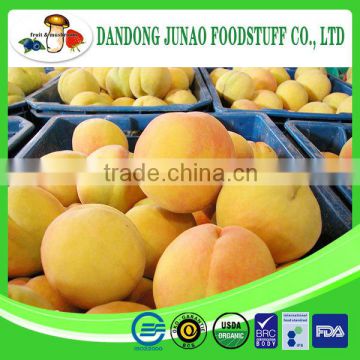 Bulk supply canned yellow peach diced