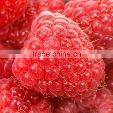 2014 new crop frozen Heritage raspberry