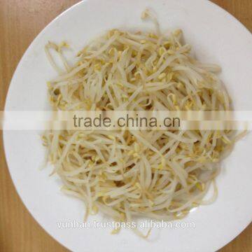 Mung bean sprout root