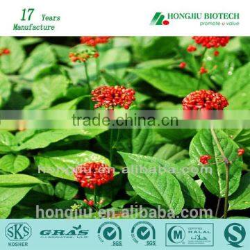 Ginseng Berry Extract Powder From Halal Kosher GMP ISO manufacturer