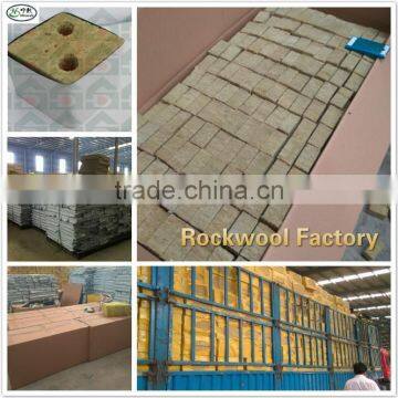 Rockwool Cubes for Hydroponics and Aeroponics photo-5