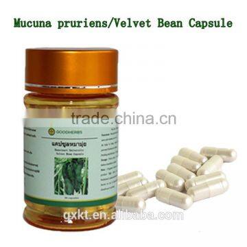 Hot selling and effect velvet bean herbal extract medicine for sex power