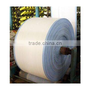 PP woven geotextile fabric for road