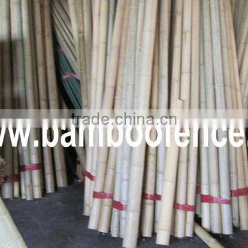 Natural Moso bamboo pole