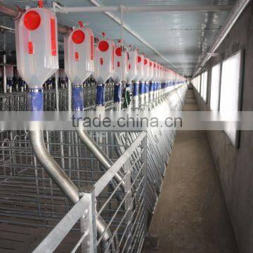 pig farming automatic pig feeding system