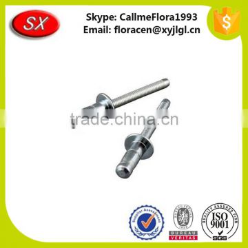 Customized High Precision Metal Rivet (High Quality / China Manufacture)