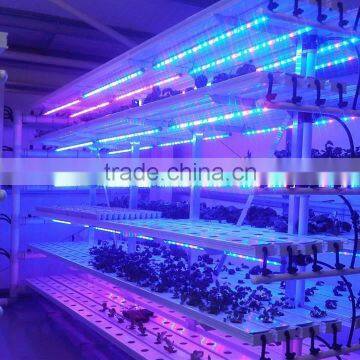 Hot Seller 20w Cheap Indoor Led Grow Lights That Work photo-6