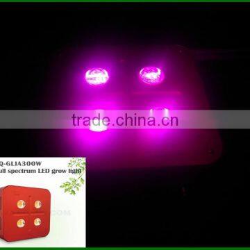 Hot Products 2017 New 300w Led Grow Light,led Cob Grow Light for Greenhouse Plant photo-4