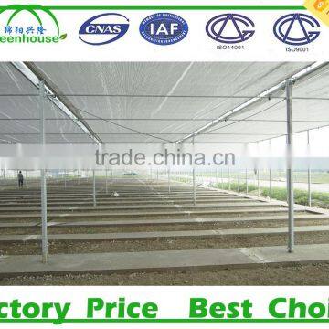 Commercial 200 Micron Greenhouse Film photo-3