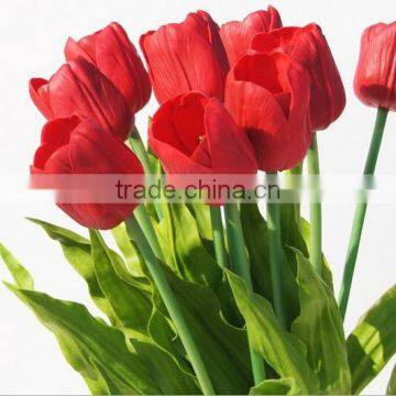 PU Dutch Tulip photo-2