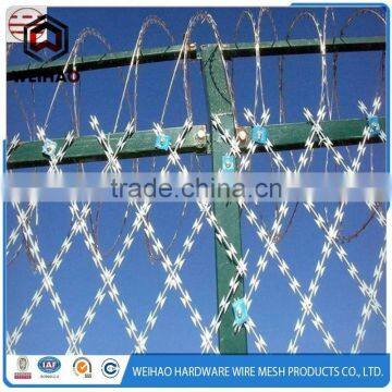 High Tension Galvanized Rozar Barbed Wire photo-6