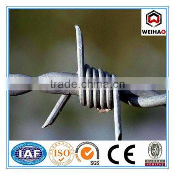 Anping Wei Hao Provide Galvanized Barbed Wire/PVC Barbed Wire/barbed Wire for Sale photo-3