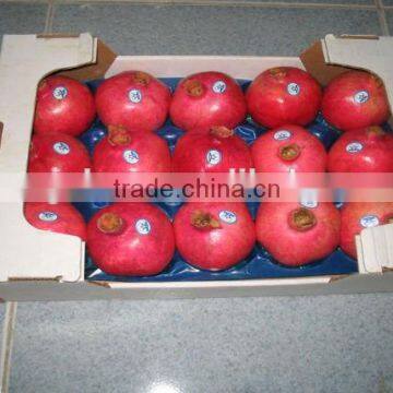 Plastic Tray Insert for Apple, Thermoformed Plastic Tray Insert for Apple, Food Grade Plastic Tray Insert for Apple