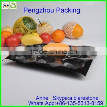 Pengzhou Plastic Tray With Handles photo-2