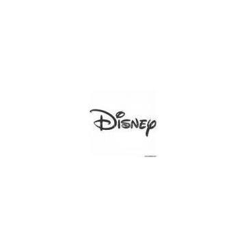 DISNEY Socia audit consulting