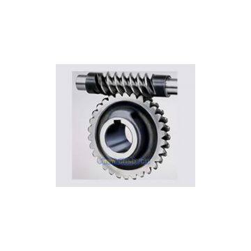 High Quality of Worm Gear