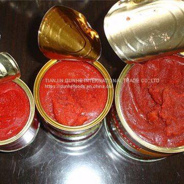 Canned Tomato Paste photo-2