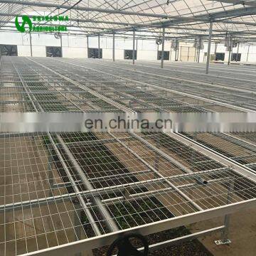 Agricultural Greenhouse Grape Nursery Equipment Seedbed Bench