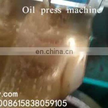 Mini walnut oil press machine