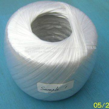 PP String photo-3