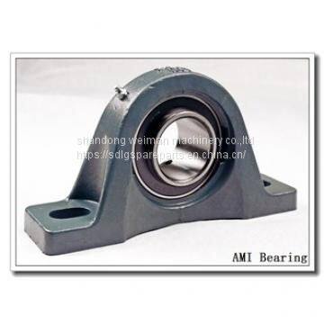 AMI Bearing