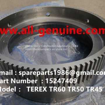 TEREX 15247409 DISC DRIVE TR100 TR60 TR70 MT4400AC OFF HIGHWAY RIGID DUMP TRUCK MINING HAULER TRANSMISSION