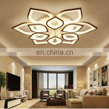 2018 New Products Creative Living Room Lamp 6/8/12 Head Warm Modern Flush Mount LED Ceiling Lamp With Remote Control photo-3