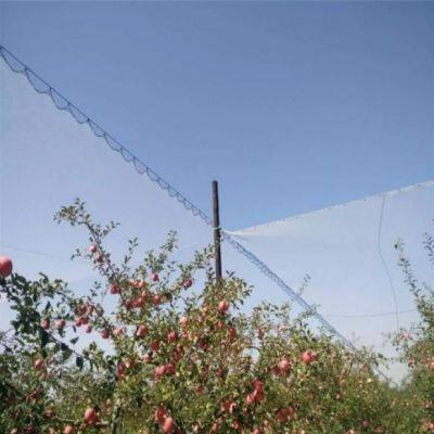 Anti Bird Net for Rice Field photo-4