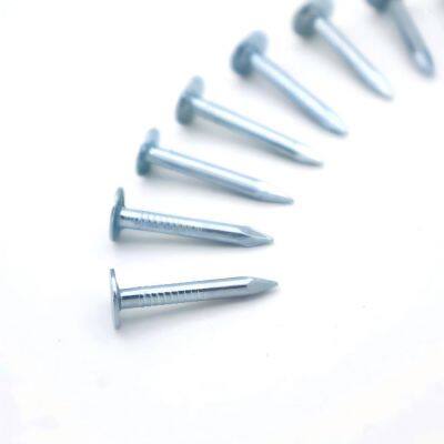 Galvanized Felt Nails With Mill Test Report for Quality Assurance photo-2
