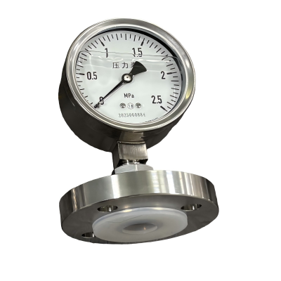 Diaphragm Pressure Gauge Industrial SS316 PTFE Flange 100mm Diaphragm Seal Corrosion Proof Pressure Gauge