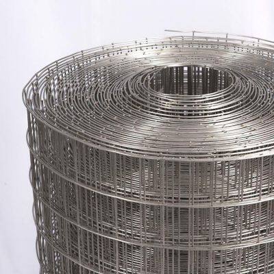 Welded Wire Mesh Rolls - Plain Weave Low Carbon Steel for Protecting Mesh photo-1