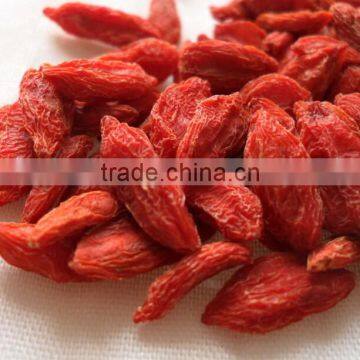 Chinese Organic Dried Chinese Wolfberries