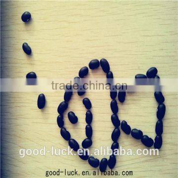 new crop small black kidney beans(2014)