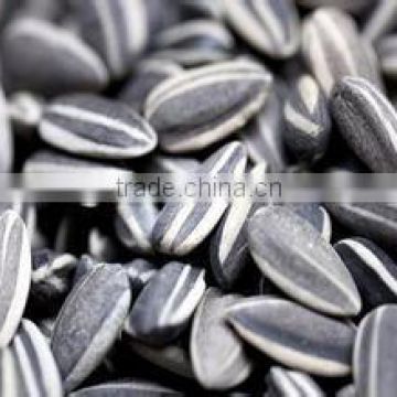 2015 price of grey sunflower seeds