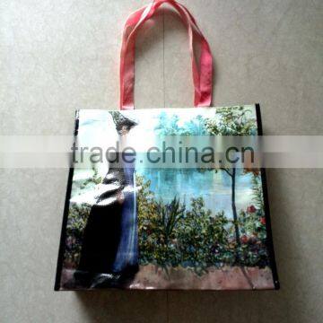 pp Woven Environmentally Friendly Shopping Bags Wholesale for Christmas Ornament photo-6