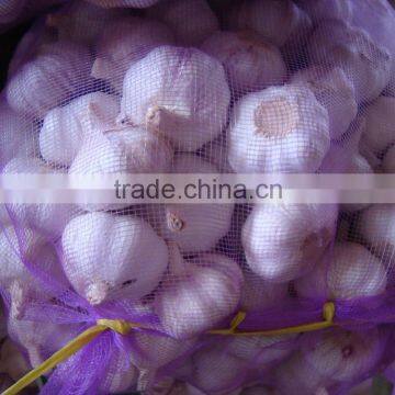 Fresh Garlic photo-5