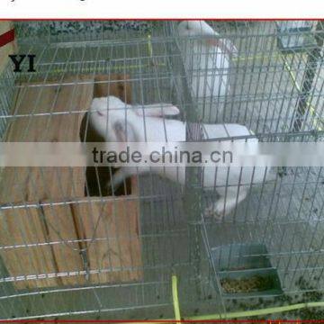 Galvanized Metal Cage With Rabbit Water Feeder For Mother Rabbit