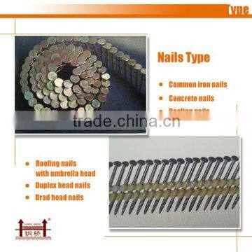 Perfect quality Stainless steel wire Chain Link Fence